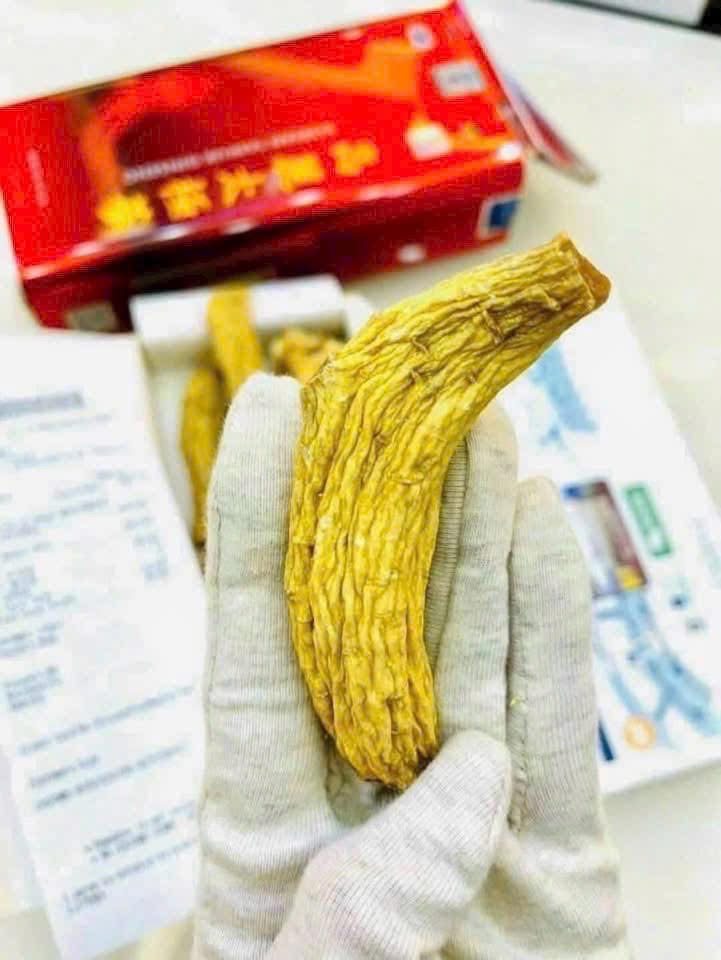 고려태극삼- HEAVEN KOREA TAEKUK GINSENG 300G (10 CỦ) - Ảnh 4