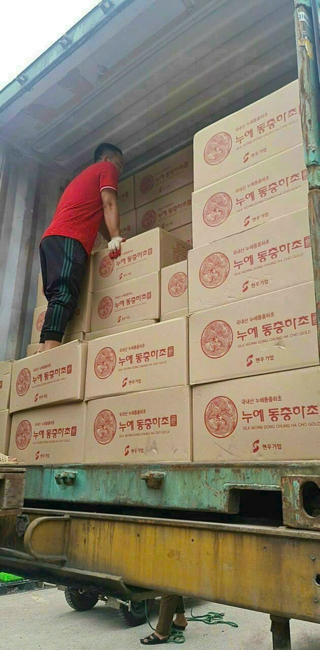 NƯỚC ĐÔNG TRÙNG HẠ THẢO HỘP 60 GÓI X 30ML - Ảnh 5