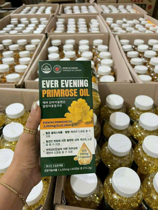 TINH DẦU HOA ANH THẢO XANH Evening Primrose Oil - Ảnh 3