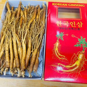 Sâm Hầm Gà Size 30 đến 35 Củ 1Kg-Nhân Sâm Chuẩn HÀN QUỐC