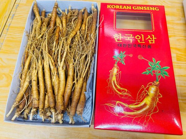 Sâm Hầm Gà Size 30 đến 35 Củ 1Kg-Nhân Sâm Chuẩn HÀN QUỐC