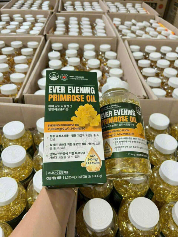 TINH DẦU HOA ANH THẢO XANH Evening Primrose Oil
