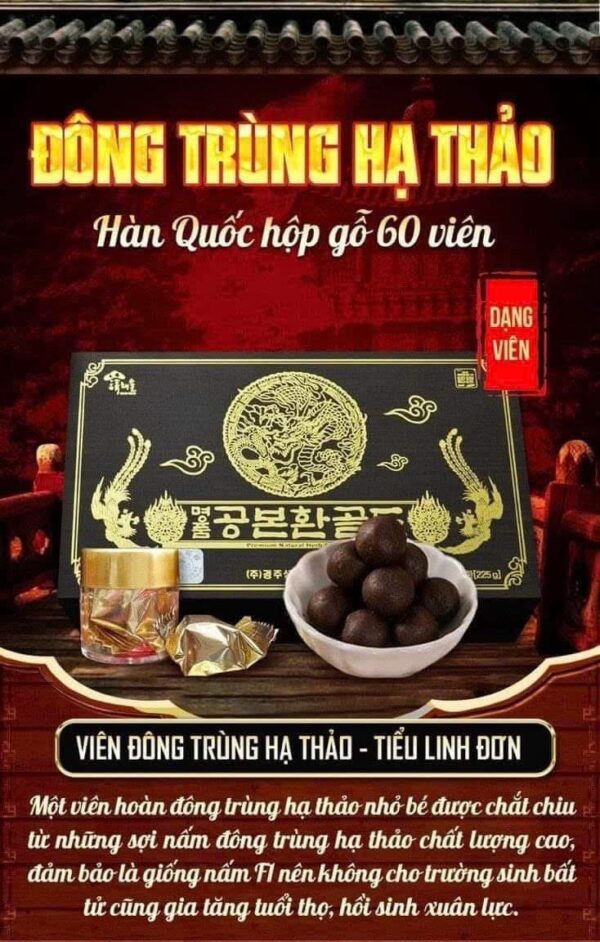ĐÔNG TRÙNG HẠ THẢO 60 Viên