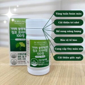 Bổ Não Ginko nội địa Hàn