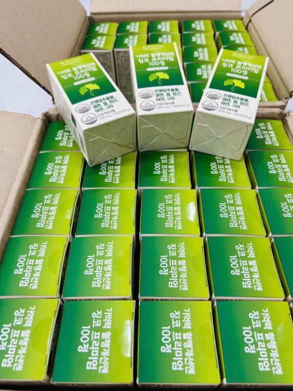 Bổ Não Ginko nội địa Hàn - Ảnh 2