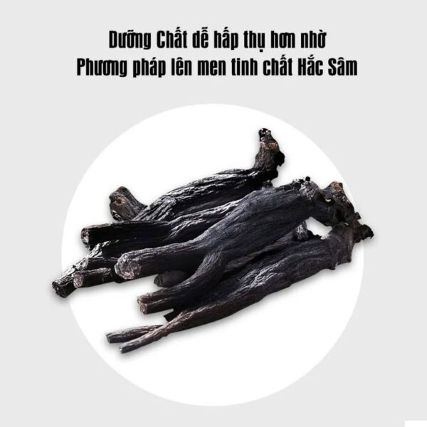 Cao Hắc Sâm Hoa Chuông Đen Cửu Chưng Cửu Sái Cao Cấp Hàn Quốc Dongsuisam - Ảnh 3