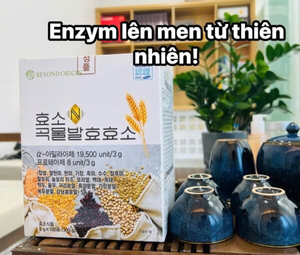 [Beyond Origin] Enzyme Tiêu Hóa Từ 20 Ngũ Cốc Lên Men