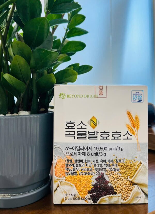 [Beyond Origin] Enzyme Tiêu Hóa Từ 20 Ngũ Cốc Lên Men - Ảnh 6