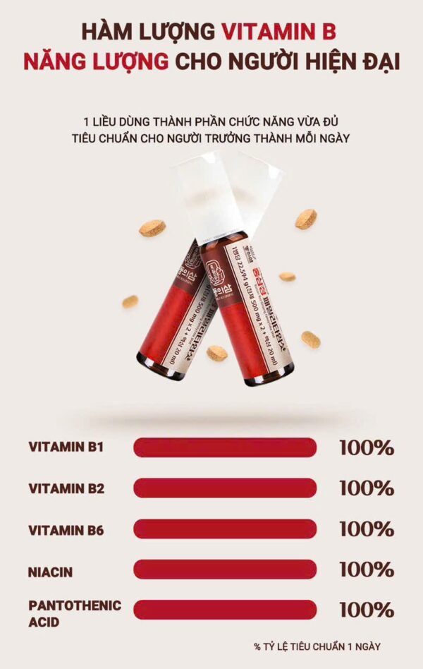 HỒNG SÂM VITAMIN TIỆN LỢI CỦA DONGUISAM - Ảnh 6