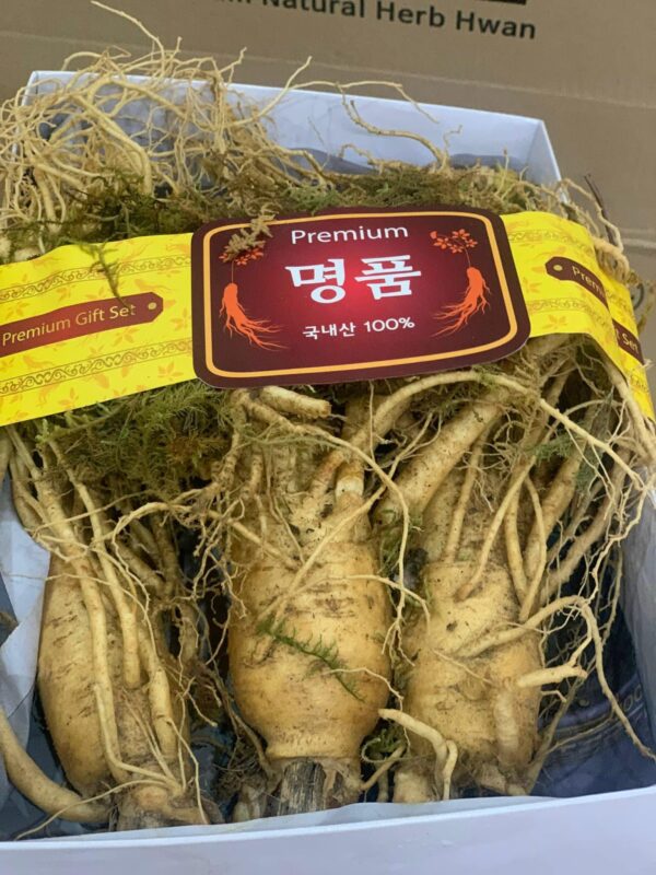Sâm Tươi Hàn Quốc 6 năm tuổi Loại 1kg 6 củ - Ảnh 8
