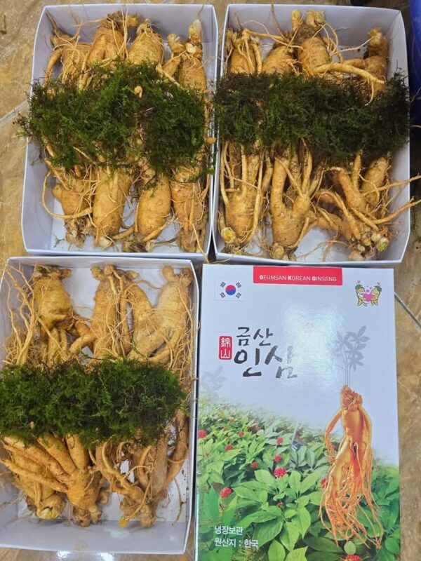 Sâm Tươi Hàn Quốc 6 năm tuổi Loại 1kg 6 củ - Ảnh 10