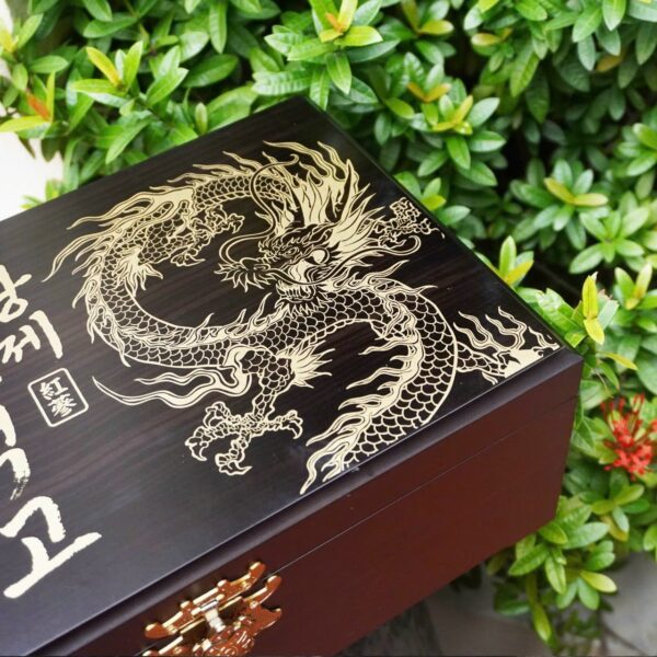 TINH CHẤT SÂM NÚI TRẦM HƯƠNG GOLDEN DRAGON HỘP 60 ống x 20ml - Ảnh 3