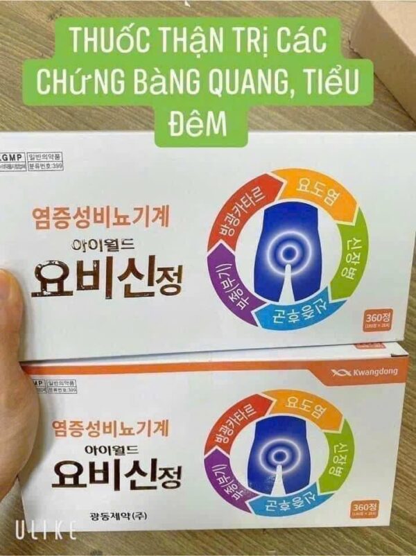 THUỐC BỔ THẬN KWANGDONG ❤❤ THUỐC BỔ THẬN 광동 제약 - Ảnh 6