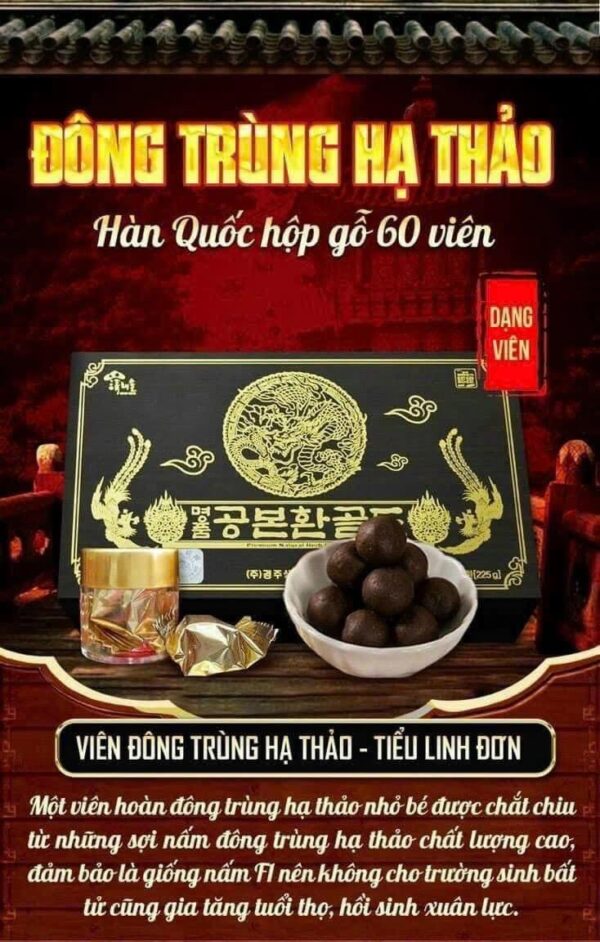 ĐÔNG TRÙNG HẠ THẢO 60 Viên - Ảnh 2