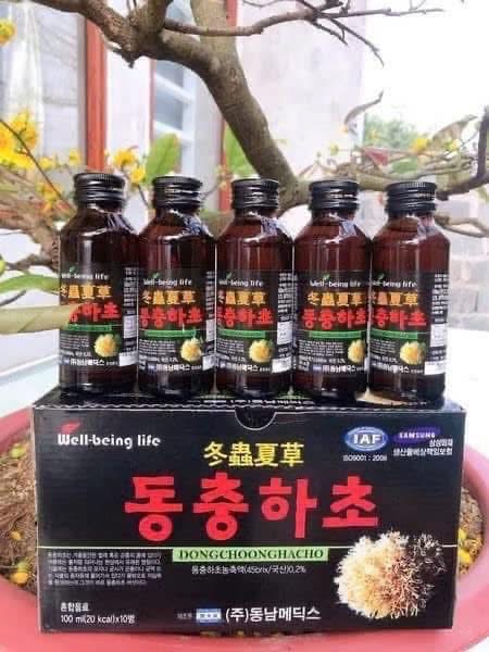 NƯỚC ĐÔNG TRÙNG HẠ THẢO HỘP 10 CHAI