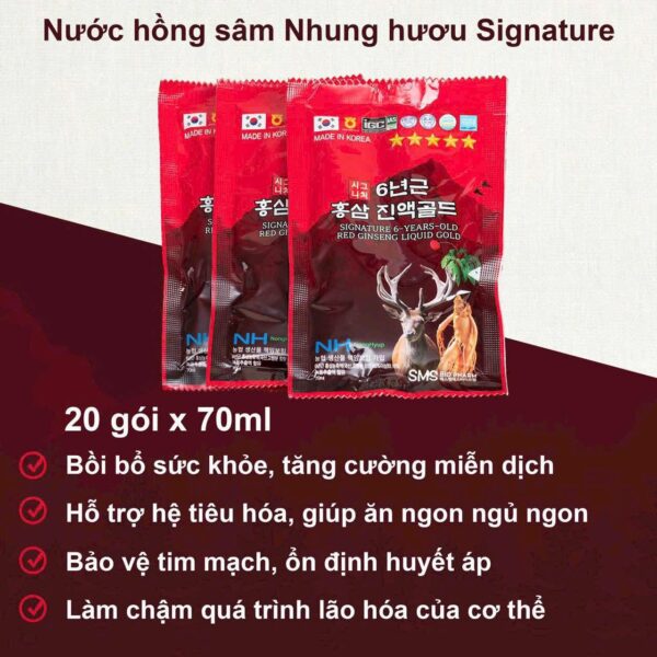 Nước hồng sâm nhung hươu Signatural hộp 20gói x 70ml - Ảnh 2