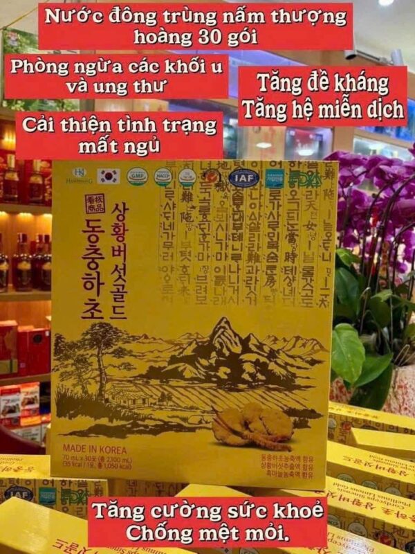 Nước Đông Trùng Hạ Thảo Nấm Linh Chi Thượng Hoàng HKJ Hàn Quốc - Ảnh 6
