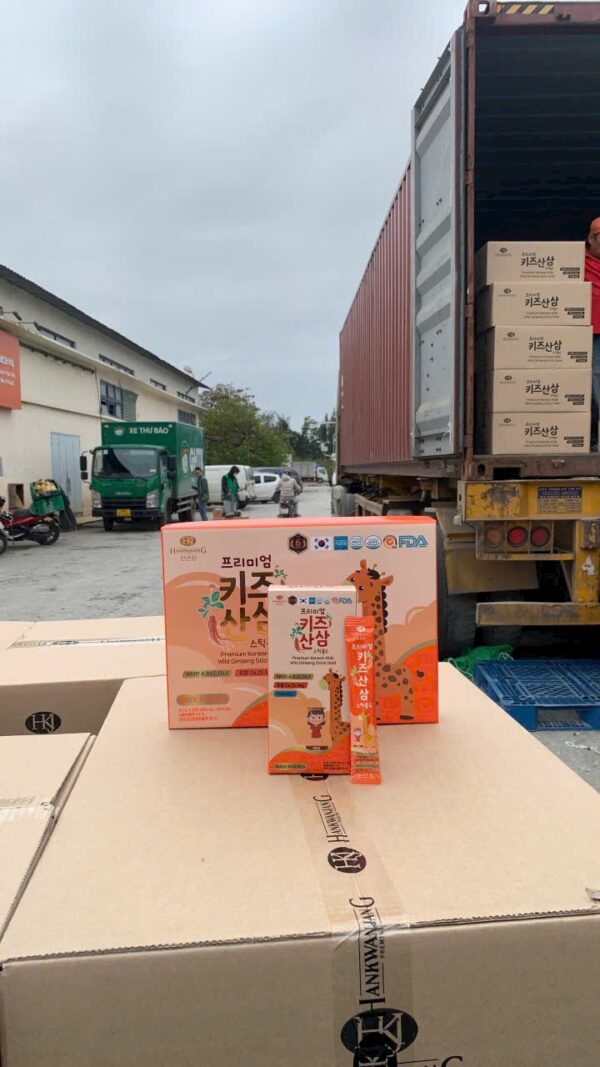 NƯỚC HỒNG SÂM BABY KGF - Ảnh 3
