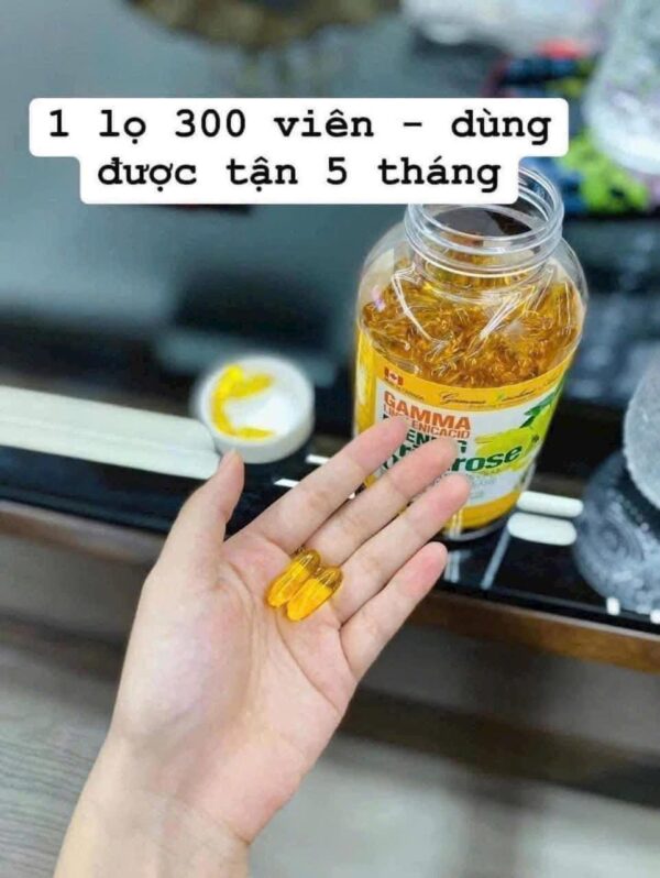 Tinh dầu Hoa Anh thảo Hàn Quốc 300 viên tăng cường nội tiết tố nữ - Ảnh 8