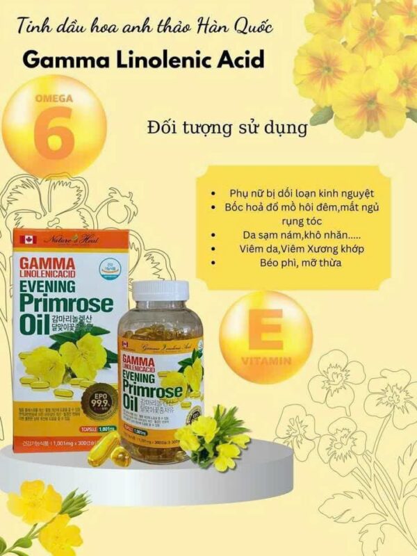Tinh dầu Hoa Anh thảo Hàn Quốc 300 viên tăng cường nội tiết tố nữ - Ảnh 6