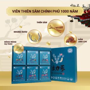 Viên thiên sâm chính phủ 1000 năm – Sức khỏe là vàng, vượt ngàn thử thách