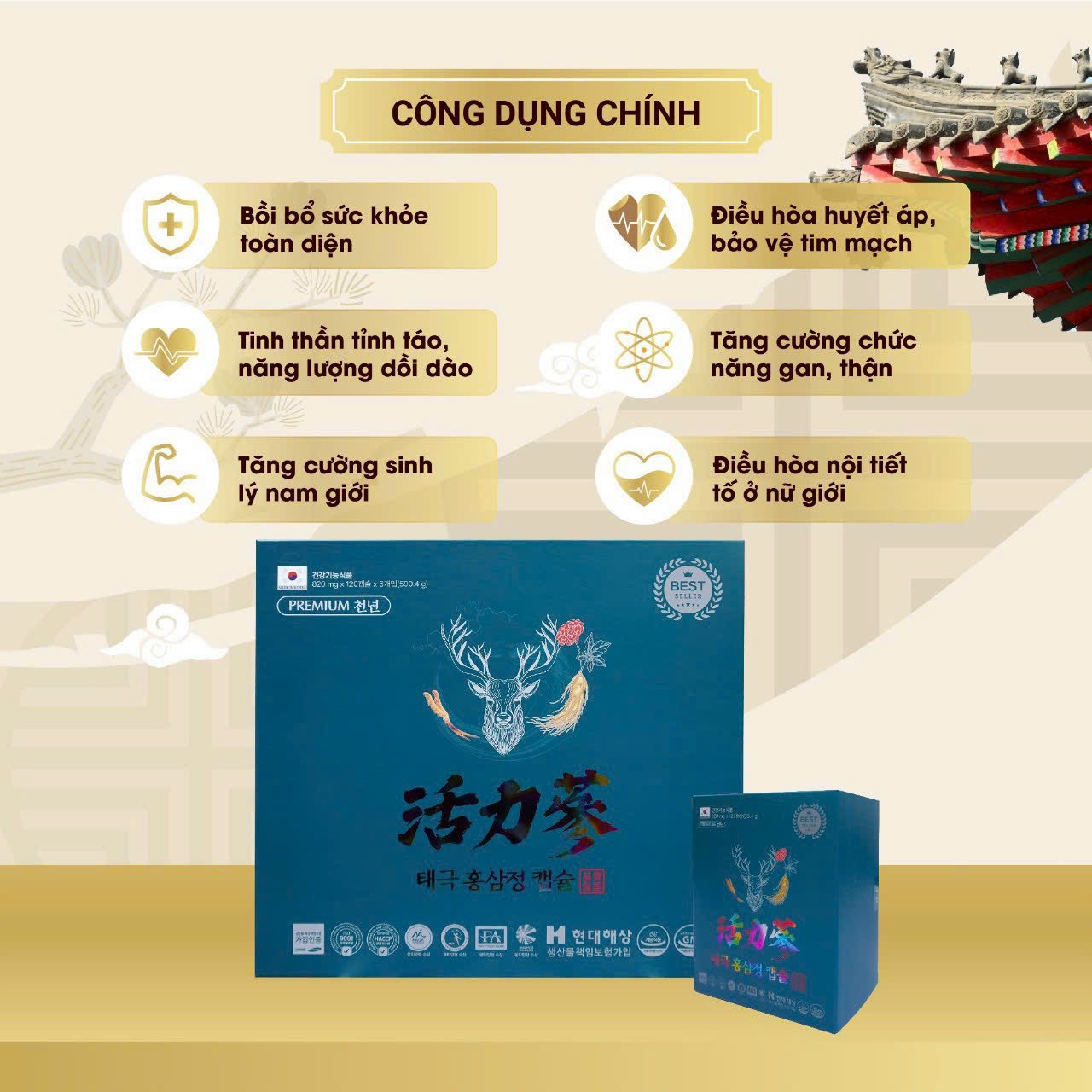 Viên thiên sâm chính phủ 1000 năm – Sức khỏe là vàng, vượt ngàn thử thách - Ảnh 2