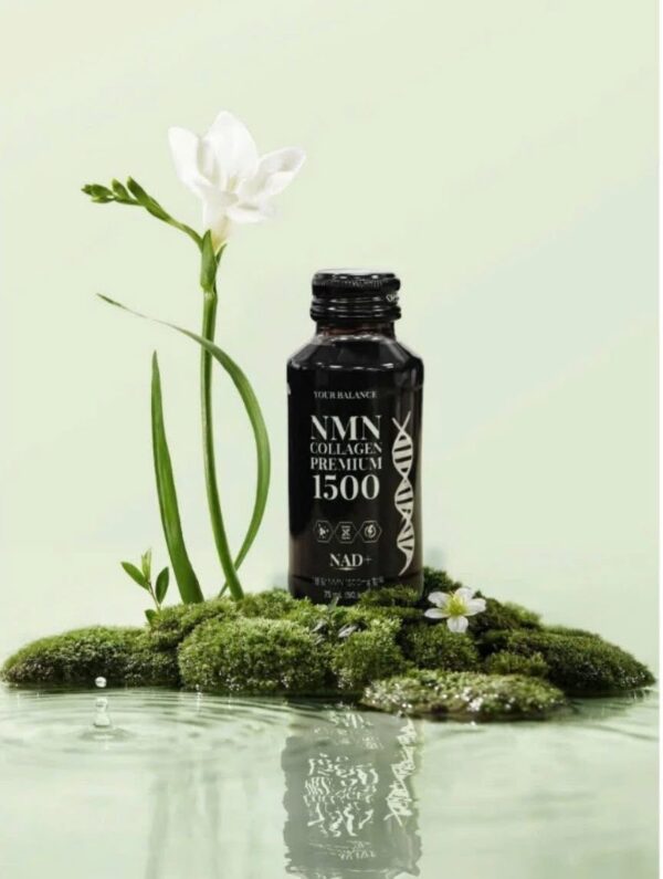 NMN Collagen Premium 1500 – Hàn Quốc - Ảnh 3