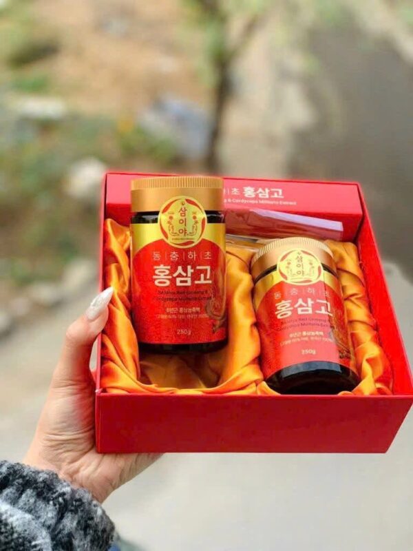 BÍ QUYẾT CHĂM SÓC SỨC KHỎE TỪ Cao sâm nấm đông trùng K Food - Ảnh 2