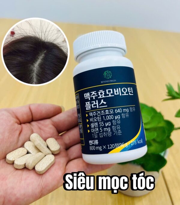 VIÊN UỐNG MEN BIA BIOTIN PLUS BEYOND ORIGIN – GIẢM RỤNG, KÍCH THÍCH MỌC TÓC, ĐẸP DA & MÓNG