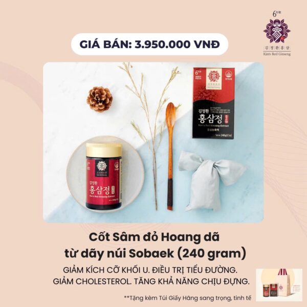 CỐT SÂM ĐỎ HOANG DÃ TỪ DÃY NÚI SOBAEK (240 GRAM) - Ảnh 8