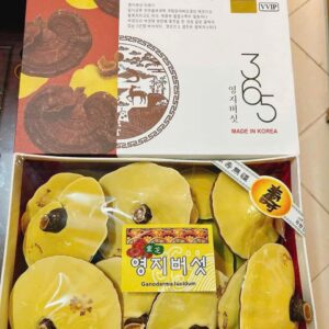 Nấm Linh Chi Đỏ Hàn Quốc 365 vàng chanh