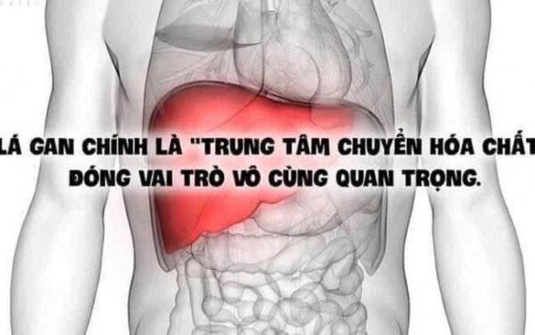 NƯỚC BỔ GAN MUGUNGHWA – HỘP 30 GÓI x 70ml - Ảnh 4