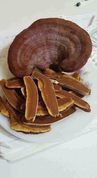 NẤM LINH CHI TỰ NHIÊN – DƯỠNG CHẤT VÀNG CHO SỨC KHỎE - Ảnh 5