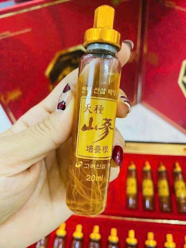 Tinh Chất Rễ Sâm Núi Hoang Dã Cheonjong - Ảnh 4
