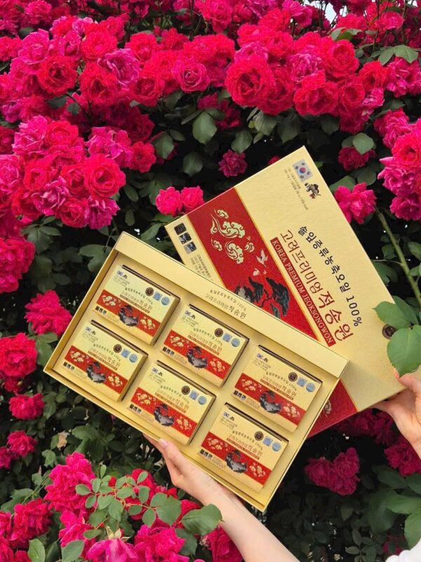 DẦU THÔNG ĐỎ CAO CẤP CHÍNH PHỦ  고려프리미엄 적송원 - Ảnh 2