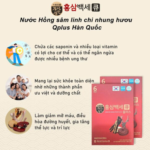 Nước Hồng Sâm Nhung Hươu Linh Chi Gold Q Hàn Quốc Hộp Đỏ 30 Gói x 50ml - Ảnh 4