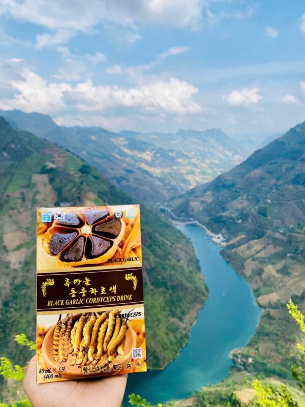 Nước Tỏi Đen Đông Trùng Hạ Thảo Hàn Quốc Jeong Won - Ảnh 4