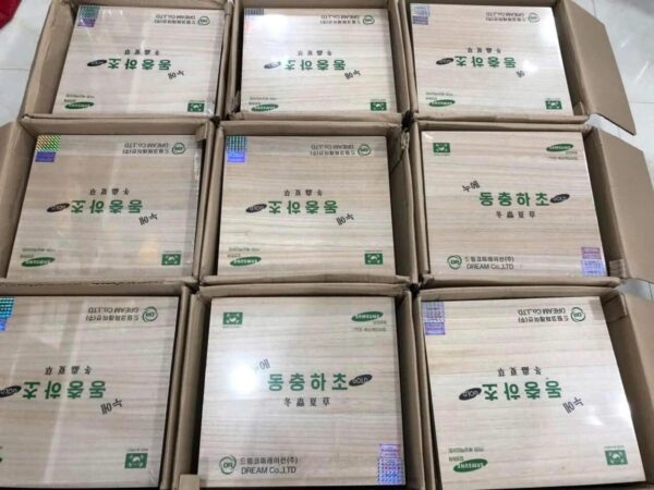 Nước Đông Trùng Hạ Thảo Dream Hộp Gỗ Trắng 60 gói * 30ml - Ảnh 8