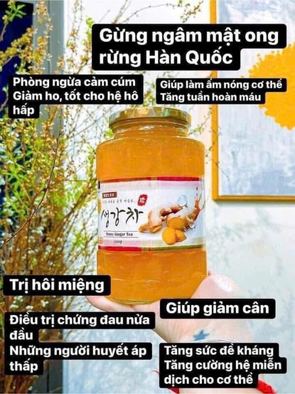MẬT ONG GỪNG HÀN QUỐC [ LỌ 1KG] - Ảnh 4