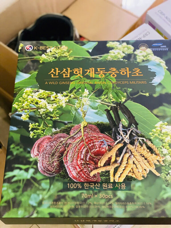 NƯỚC MÁT GAN LINH CHI ĐÔNG TRÙNG SÂM NÚI K-BEST FOOD 30 GÓI - Ảnh 2
