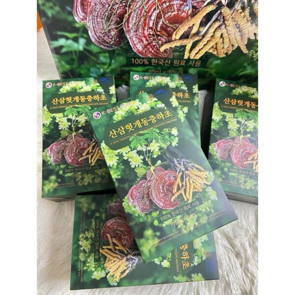 NƯỚC MÁT GAN LINH CHI ĐÔNG TRÙNG SÂM NÚI K-BEST FOOD 30 GÓI - Ảnh 4