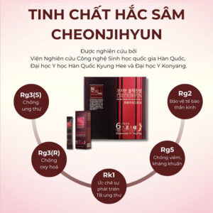 Tinh Chất Hắc Sâm Cheonjihyun Hàn Quốc - 천지현 흑삼 Hộp 30 gói x 10ml