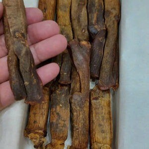 Alternative view of Sâm củ khô 300g KGC chính phủ sẵn hàng Số 15 ( 10 củ)