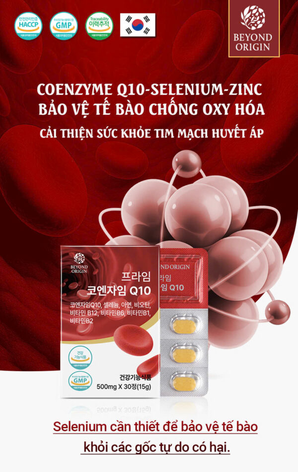Viên Tim Mạch & Huyết Áp Prime Coenzyme Q10 - Ảnh 2