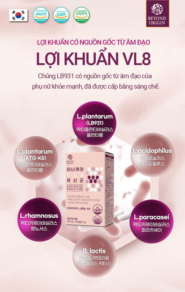 Viên Uống Phụ Khoa Nữ VL8 Inner Care - Ảnh 6
