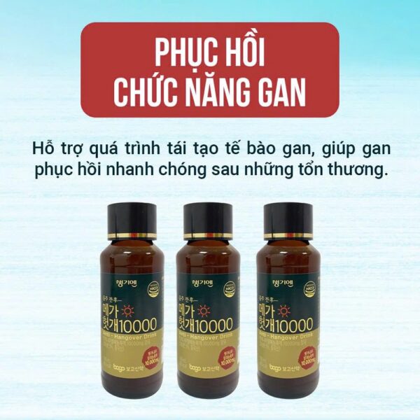 Nước uống giải rượu Mega Hovenia Dulcis 10000 - Ảnh 2