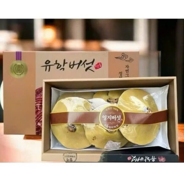Nấm linh chi cô gái thượng hạng vàng chanh Hàn Quốc