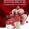 [Beyond Origin] Viên Tim Mạch & Huyết Áp Prime Coenzyme Q10