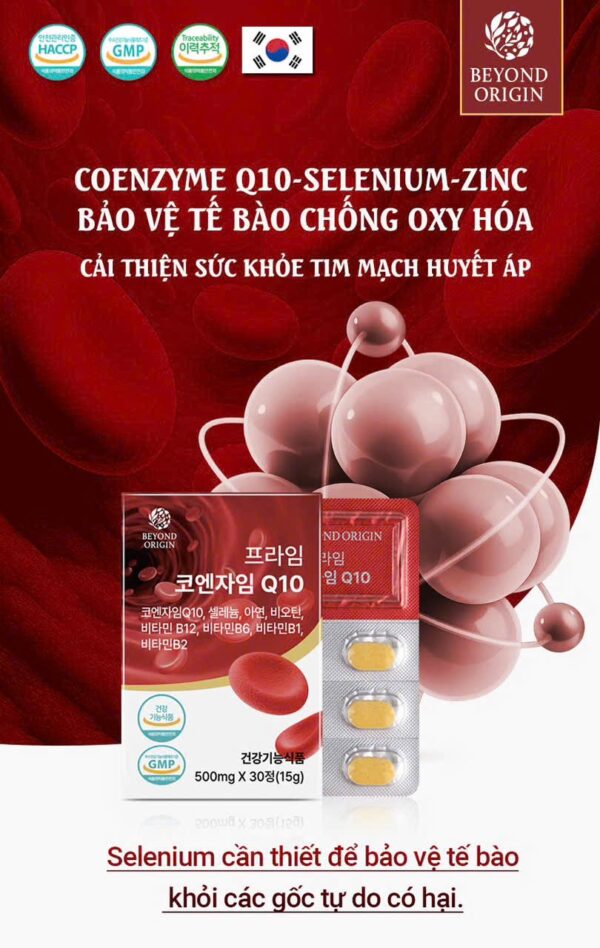 [Beyond Origin] Viên Tim Mạch & Huyết Áp Prime Coenzyme Q10