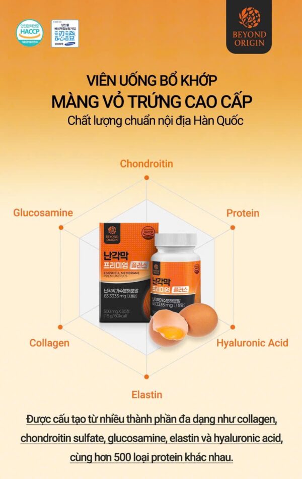 Viên Collagen Xương Khớp Beyond Origin – Màng Vỏ Trứng Cao Cấp - Ảnh 5